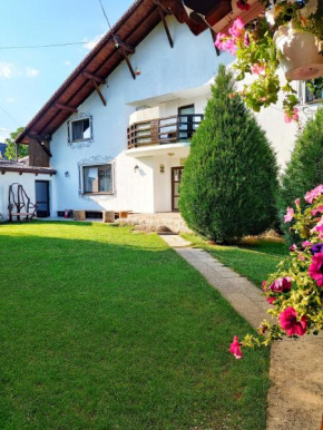 Гостиница Vila Maria Săsciori Sebeş  Laz